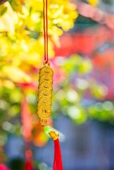 chia sẻ Sodo