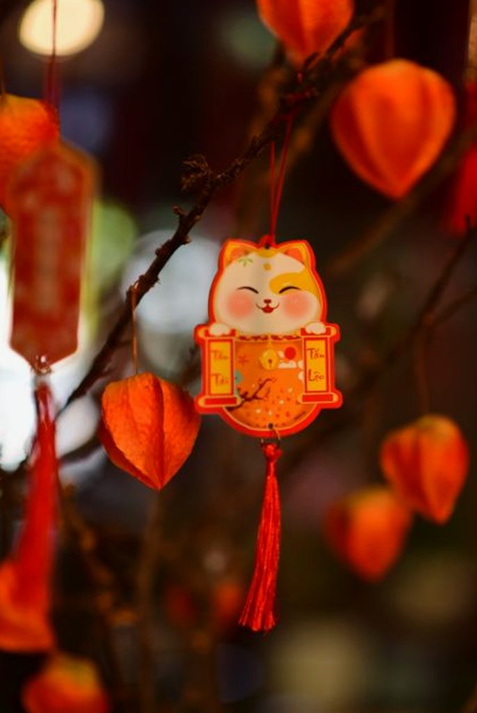 chia sẻ Sodo